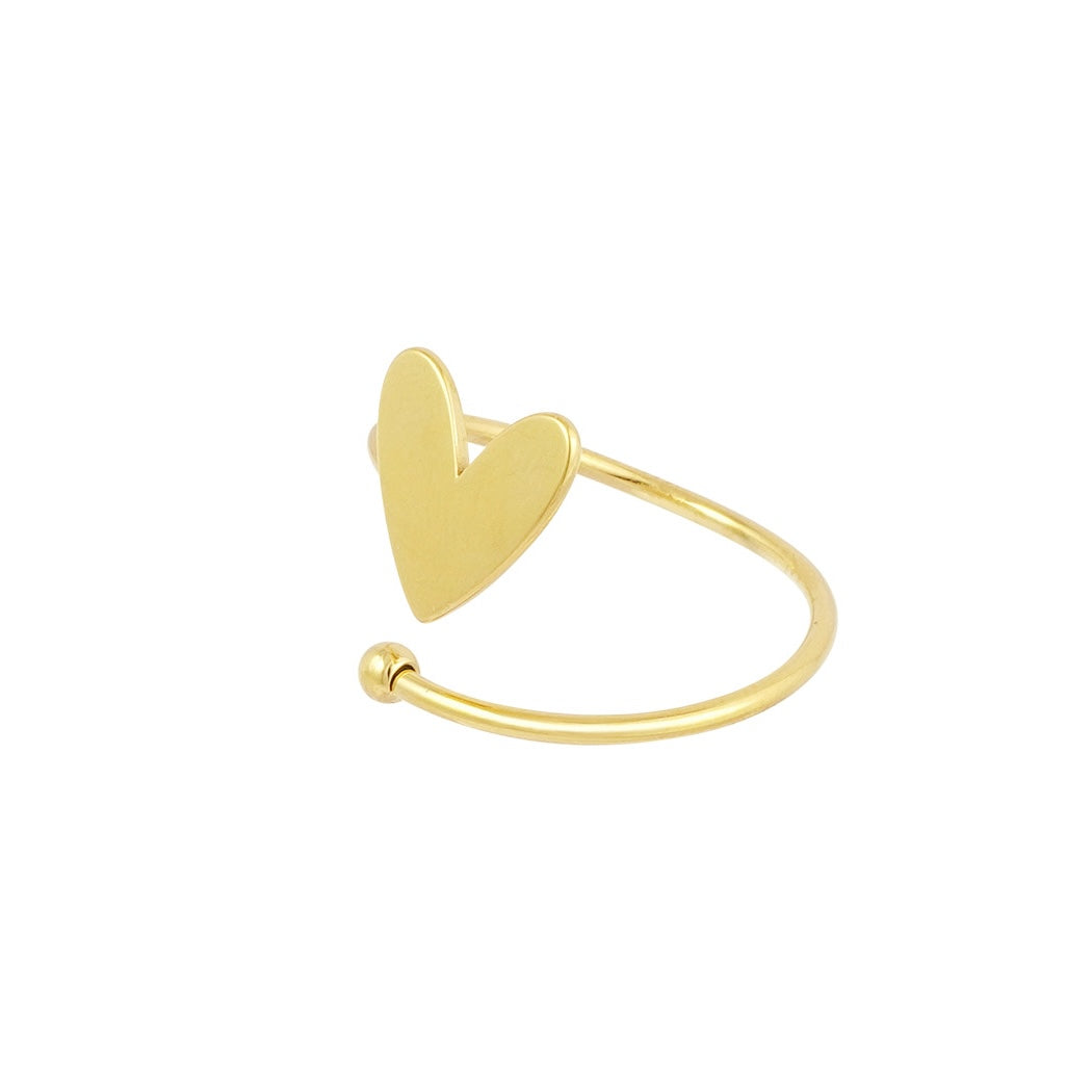 Stainless steel ring - spiraalring met hart