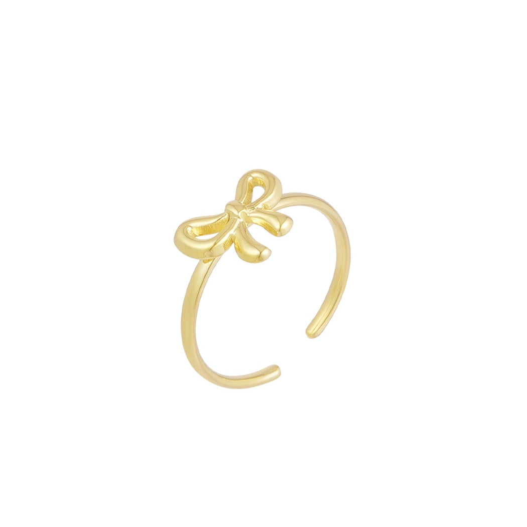 Stainless steel ring - strikje