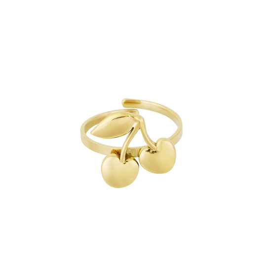 Stainless steel ring - kersje