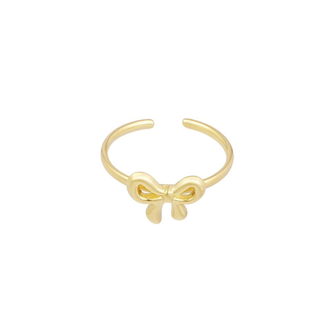 Stainless steel ring - strikje