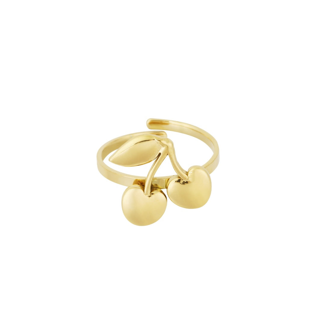 Stainless steel ring - kersje