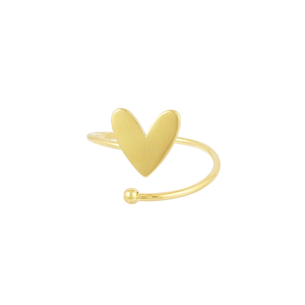 Stainless steel ring - spiraalring met hart